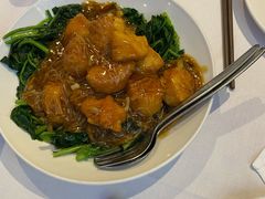 -食为先(Shark Fin)