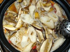 -菌之家·专业纯野生菌火锅·特色炒菌