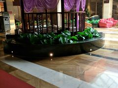 -水晶之星洗浴温泉汗蒸