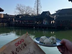 -乌镇西栅景区