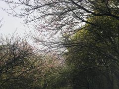 -同里国家湿地公园