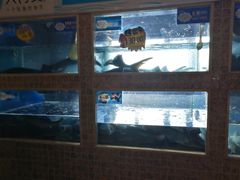 水产区-大河宴·椒麻鱼火锅(克拉玛依西路头宫店)