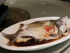 -刘胖子家常菜·蹄花焖藕(江汉路总店)