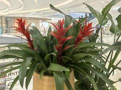 -上海来福士广场