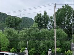 -遇见小院—虹鳟鱼•农家菜(怀柔店)