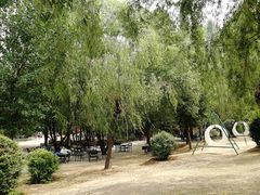 -古柏渡飞黄旅游区