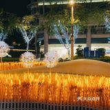 湖滨的麦子黄了!