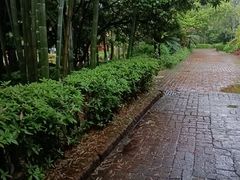 -故乡缘·香格里拉山庄(冷竹路店)