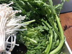 茼蒿-签海串串火锅(泰华店)