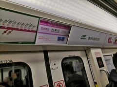 -大龙山(地铁站)