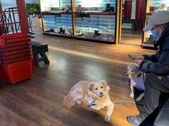 -C·BANNER千百度(奥特莱斯工厂店)