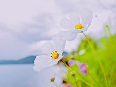-里格村景区