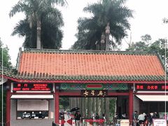 -星湖旅游景区七星岩