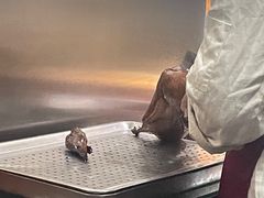 -利群烤鸭店(前门店)