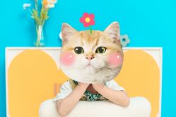 -小熊维尼高端儿童摄影(宝安旗舰店)
