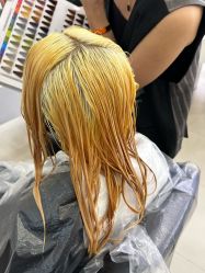 -GANO HAIR 