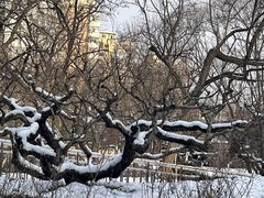 -元大都城垣遗址公园