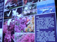 -铁路文化公园