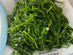 -煲来饱去冷水鱼
