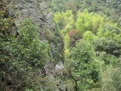-祁门牯牛降观音堂风景区