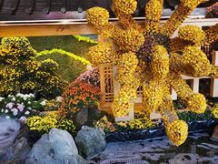 -杭州植物园