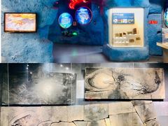 -甘肃地质博物馆