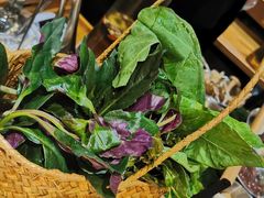 -一朵菌·野生菌探索家火锅(南亚店)