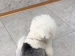 -良伴无忧宠物医院(泰欣嘉园店)