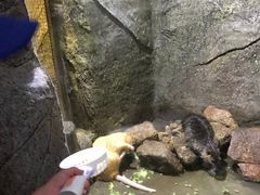 -青青世界