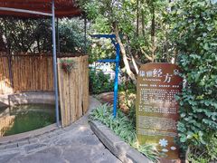 -华侨城阳宗海海景温泉