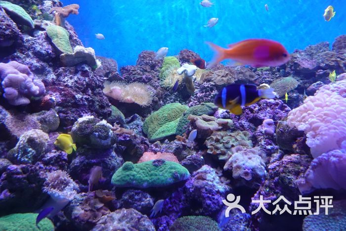 海滨城浩海立方海洋馆图片 - 第55张