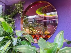 -花隐·美芙炫海菲秀皮肤管理中心