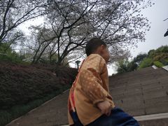 -杭州少年儿童公园