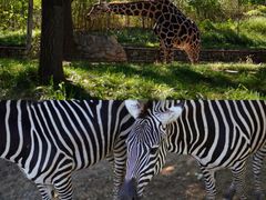 -北京野生动物园