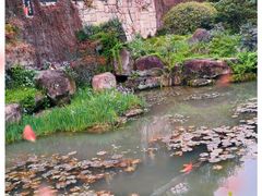 -中国茶叶博物馆(双峰馆区)