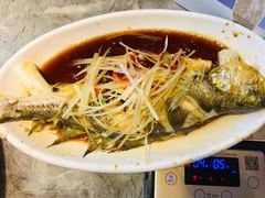 -船梆煮•蒸汽海鲜·炉火烤肉(五四广场店)