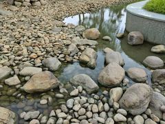 -皇粮浜湿地公园