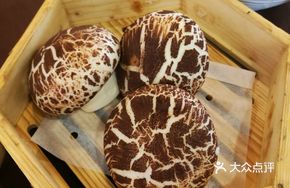 Mushroom Sand Bun