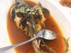 豆豉蒸鲟龙鱼-万龙洲海鲜(大兴绿地缤纷城店)