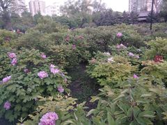 -迎泽公园
