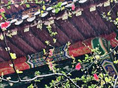-都江堰普照寺