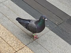 -中航城君尚购物中心