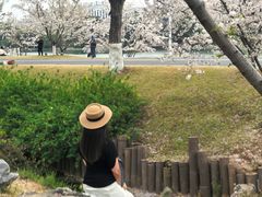 -羊山湖公园