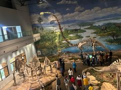 -自贡恐龙博物馆