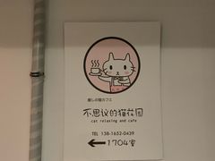 -猫猫幼稚园·撸猫·桌游·电玩