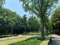 -苏州河梦清园环保主题公园