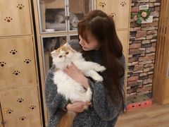 -猫的茶·猫咖