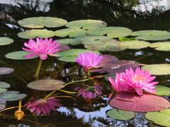 -国家植物园南园