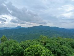 -水濂山森林公园