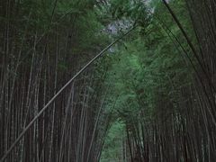 -同里国家湿地公园